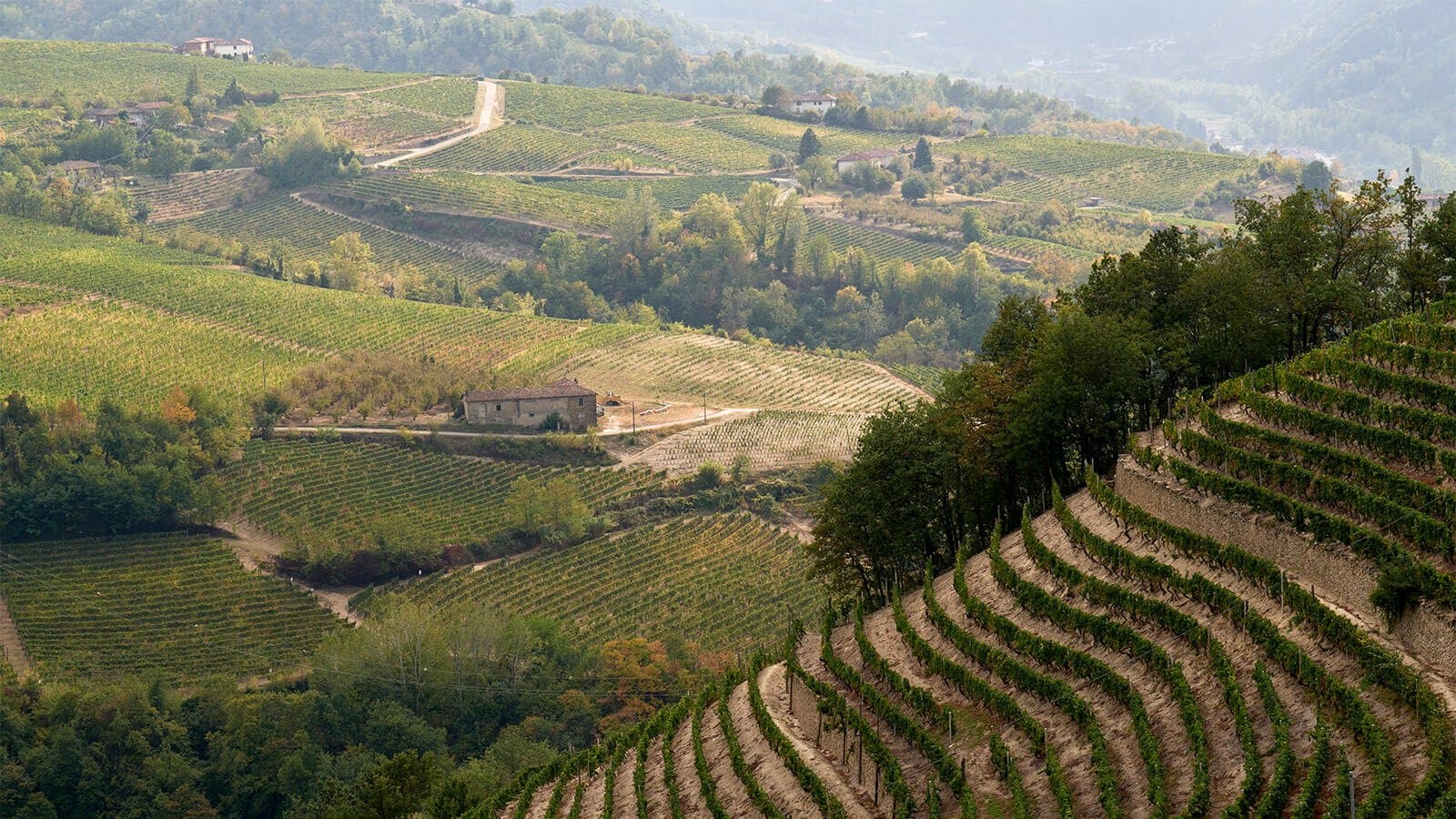 Cooperativa Vallebelbo casale vigna