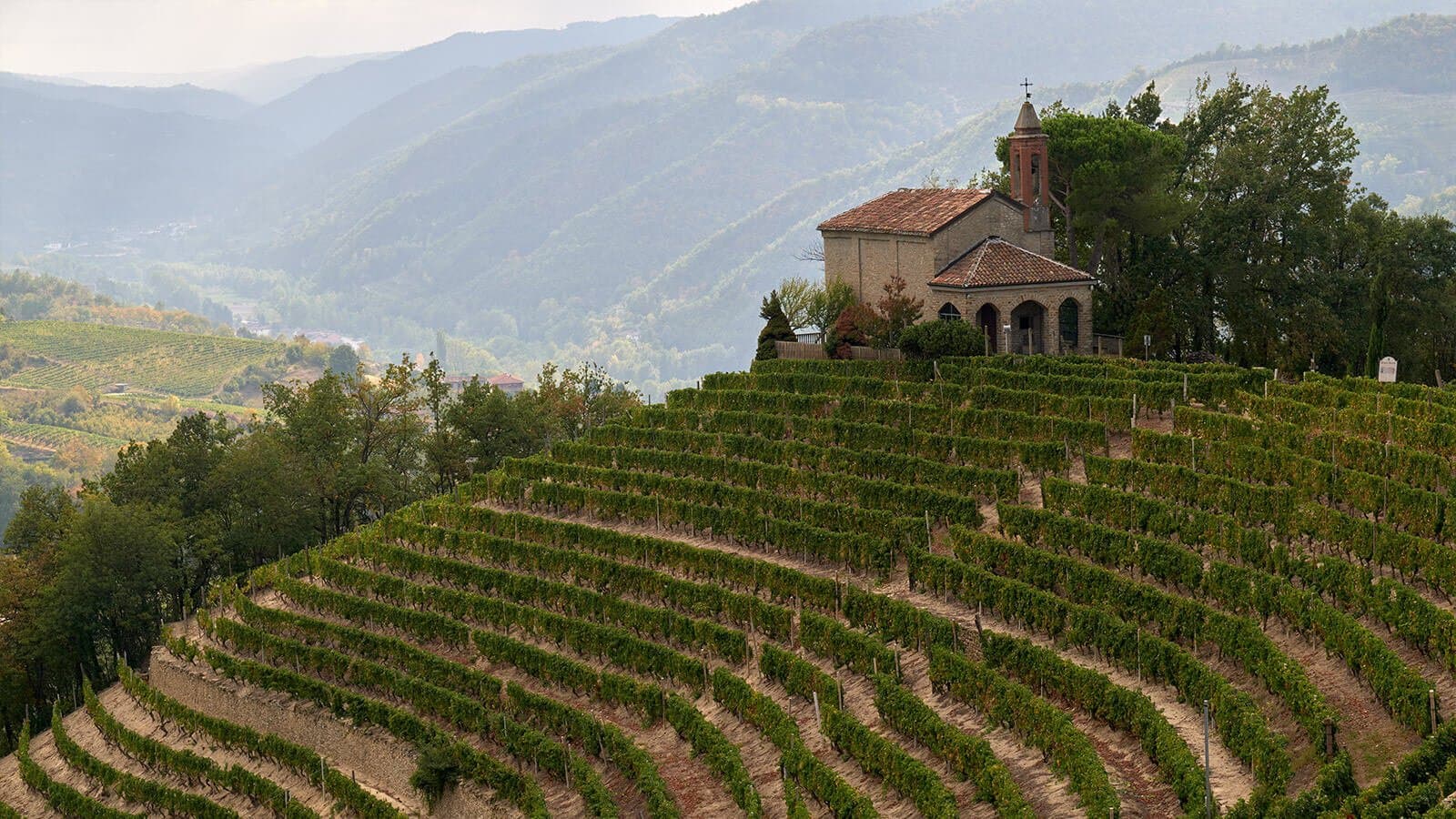 Cooperativa Vallebelbo chiesa vigna