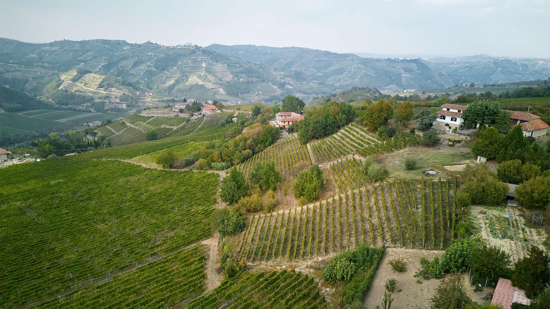 Cooperativa Vallebelbo vigne panorama